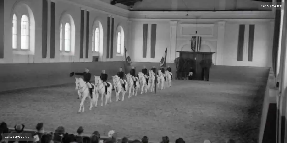 <strong>豪利777</strong>🤼‍♂️竞技不止输赢，全力以赴就是最好的姿态！